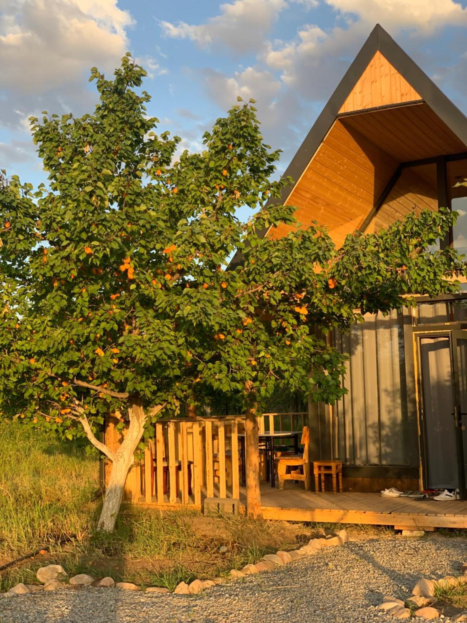 Coral Houses Tossor Exterior foto